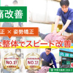 一心堂の腰痛改善