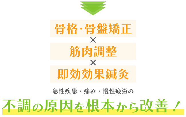 骨格・骨盤矯正と筋肉調整と鍼灸で、不調の原因を根本から改善!